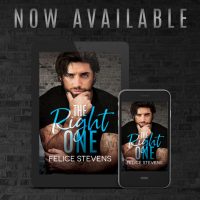 Slick’s review and book blitz ~ The Right One by Felice Stevens